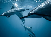 Baccara Gaming-董方卓回应争议：愿国字号常打脸|国家队|中国足球|中国男足|球员|比赛_新浪体育_新浪新闻